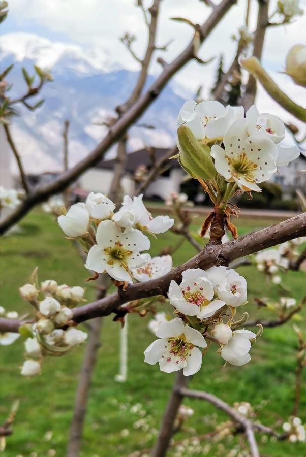 Ferienwohnungen Simon - Hauserhof Oberperfuss Ngoại thất bức ảnh