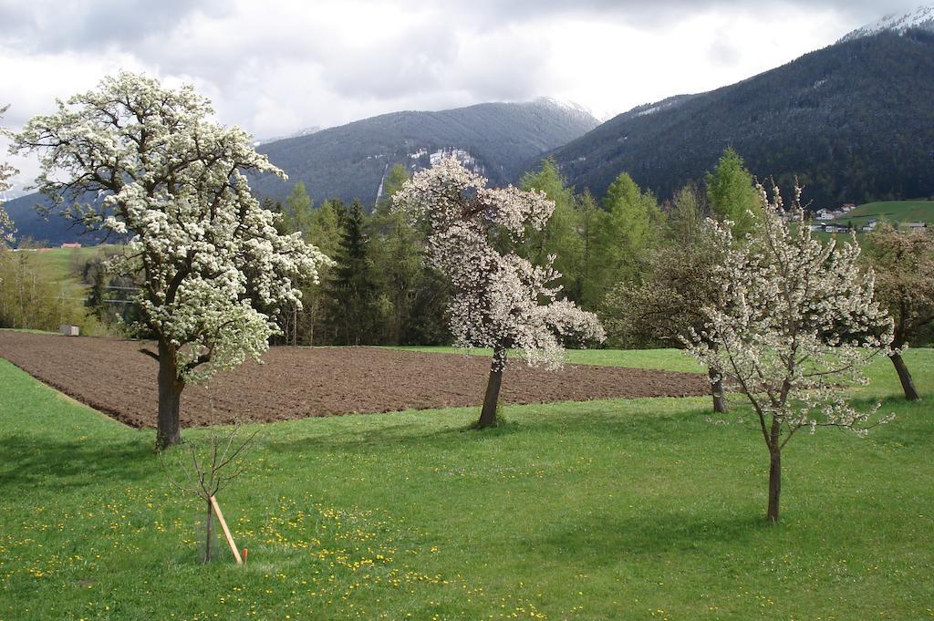 Ferienwohnungen Simon - Hauserhof Oberperfuss Ngoại thất bức ảnh
